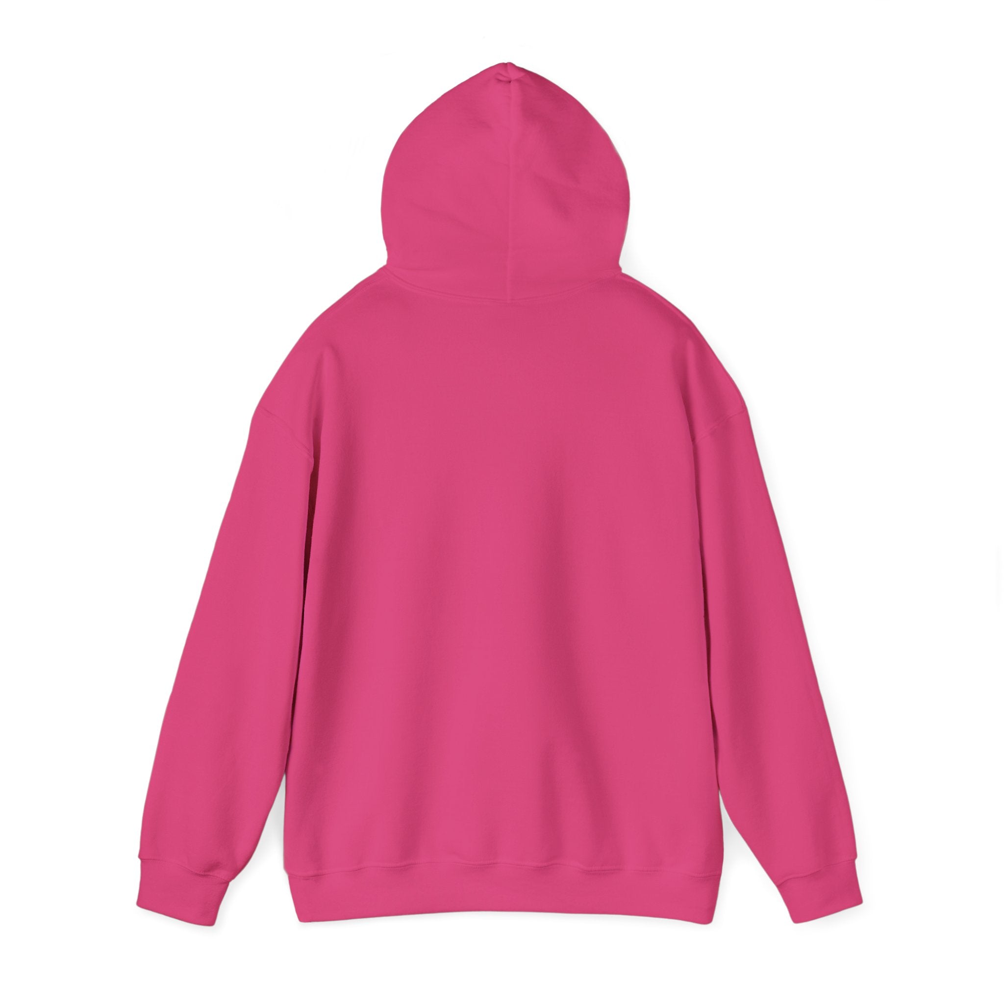 Passport Dude Unisex Heavy Blend™ Hooded Sweatshirt